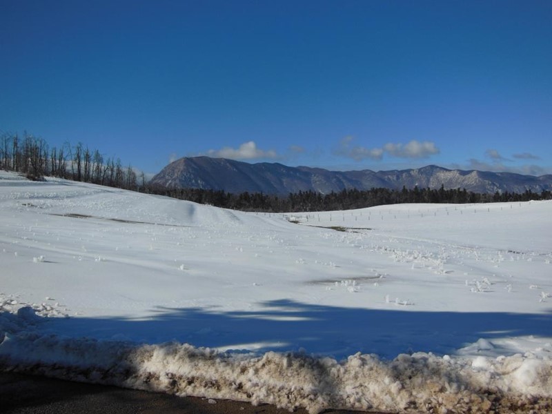 DSCN2146.JPG