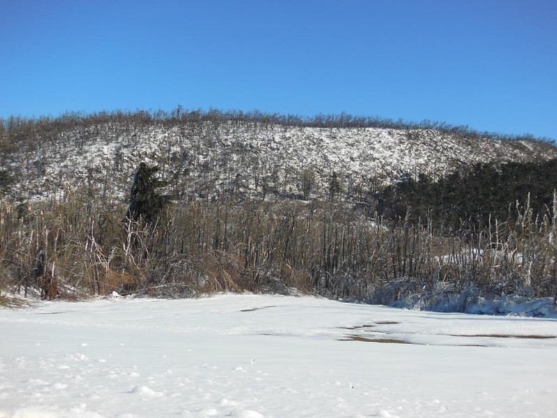 DSCN2154.JPG