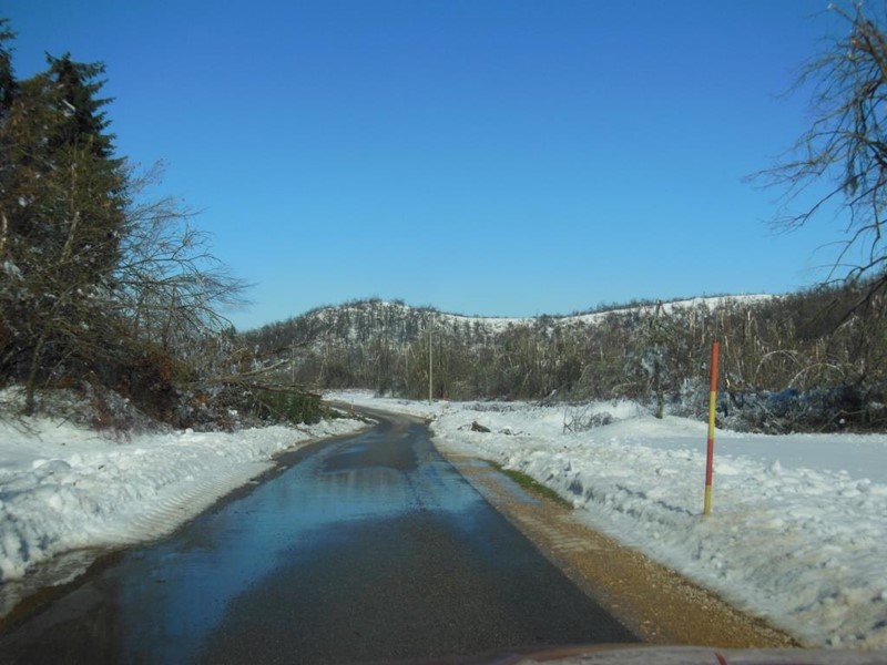 DSCN2155.JPG